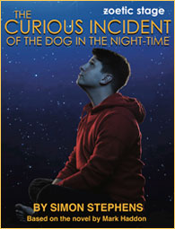 The Curious Incident of the Dog in the Night-Time